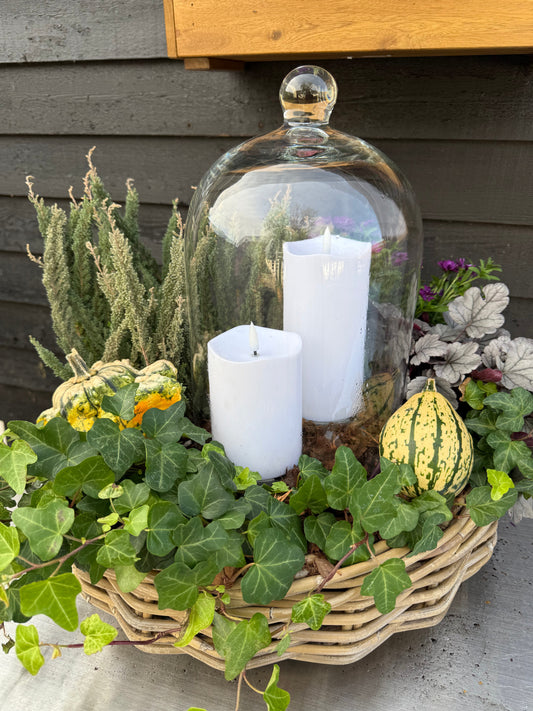 Sådan kan du bruge LED lys i dit uderum