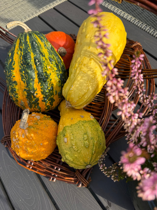 Gør dit uderum efterårsklar - 5 nemme dekorationer